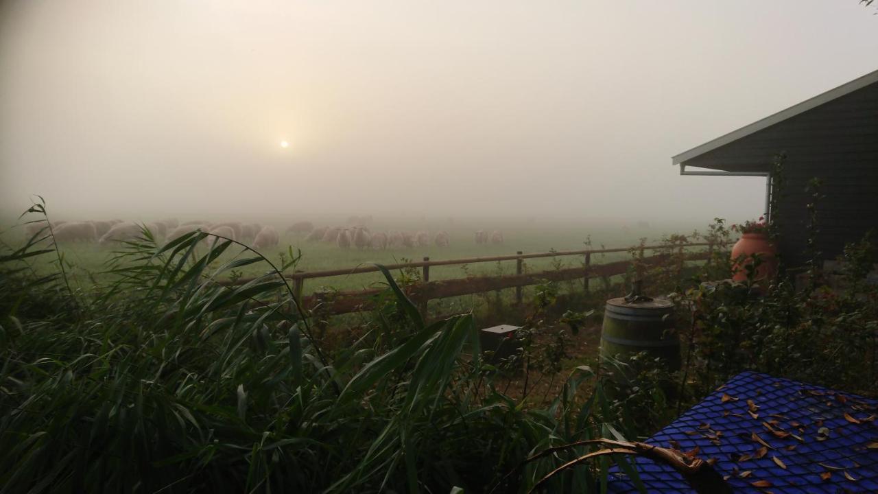 Oostwoud B&B Zusenzomer מראה חיצוני תמונה